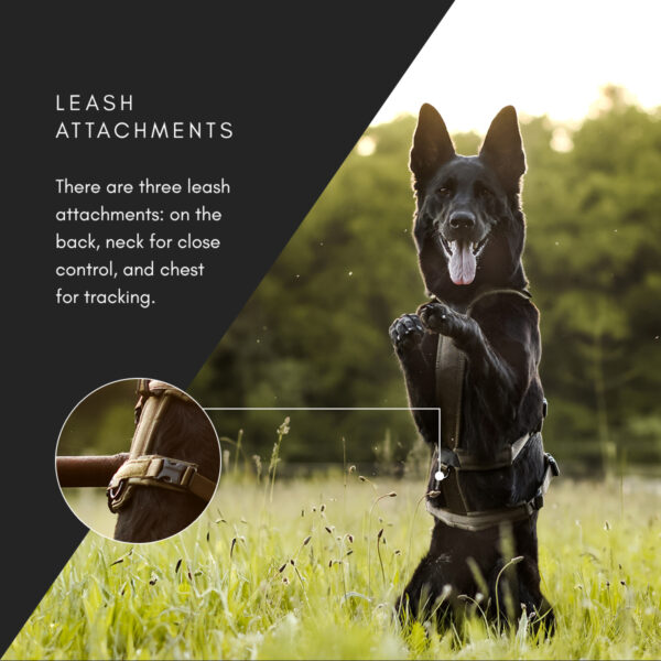 Non-Stop Line Harness Long Working Dog - Image 11
