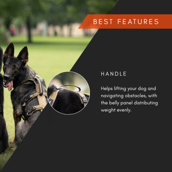 Non-Stop Line Harness Long Working Dog - Image 8