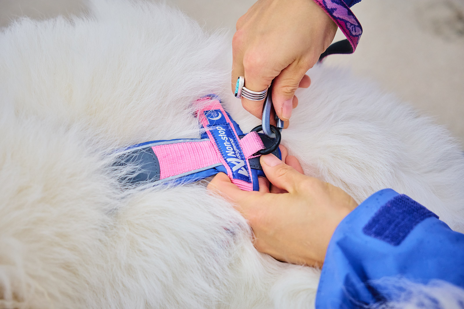 Non-Stop Line Harness Rachel Pohl Edition Pink - Image 3