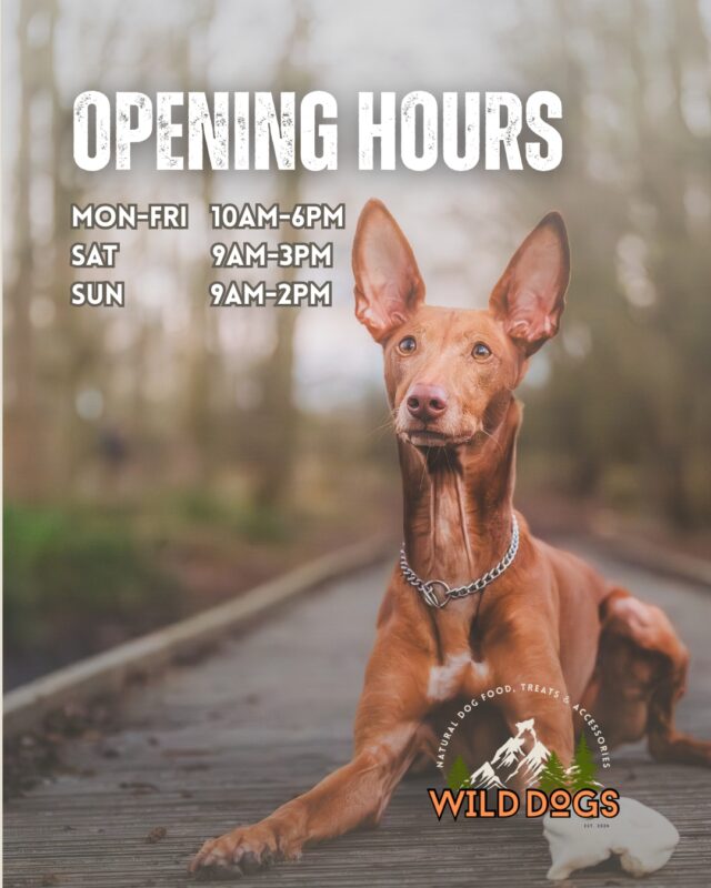 Wild Dogs Opening Hours