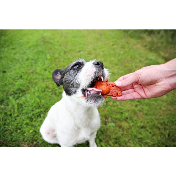 Nobblys Dental Chews - Image 2