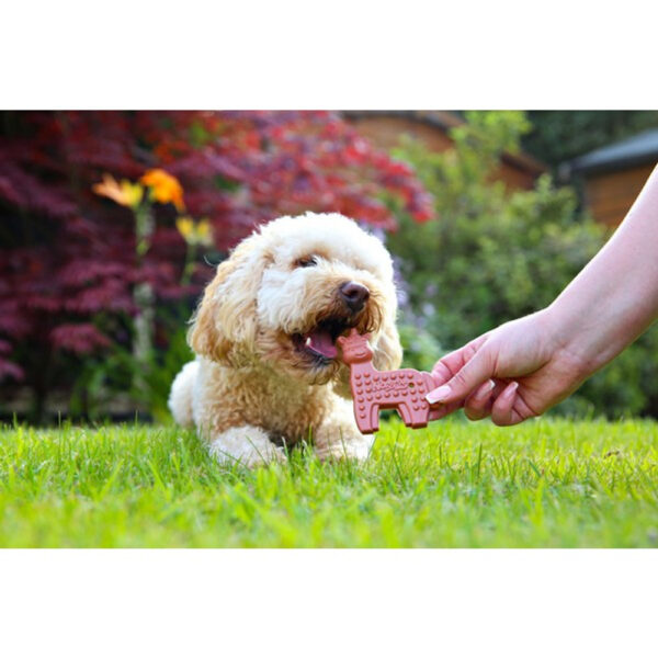 Nobblys Dental Chews - Image 4
