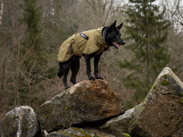 Non-Stop Fjord Raincoat Working Dog - Image 8
