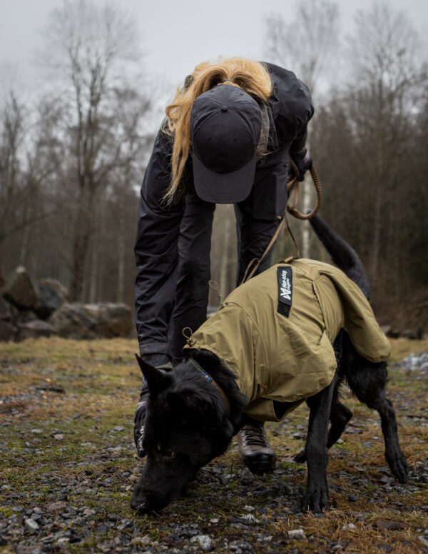 Non-Stop Fjord Raincoat Working Dog - Image 5