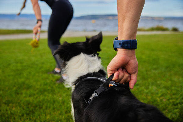 Non-Stop Line Harness Grip - Image 7