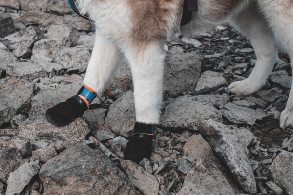 Non-Stop Protector Bootie - Image 4