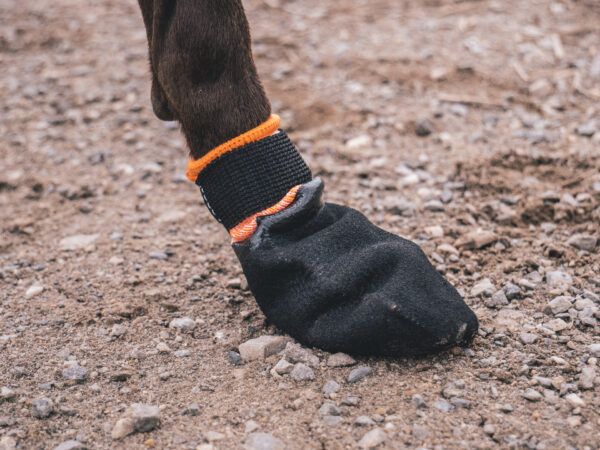 Non-Stop Protector Bootie - Image 3
