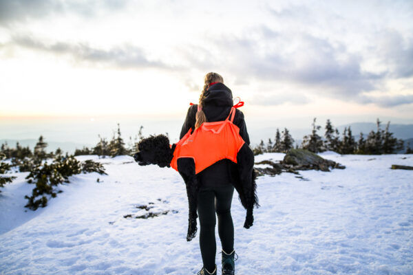 Non-Stop Dog Rescue Sling Pro - Image 9