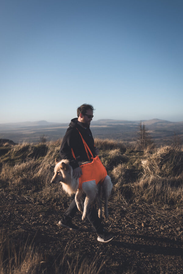 Non-Stop Dog Rescue Sling Pro - Image 10