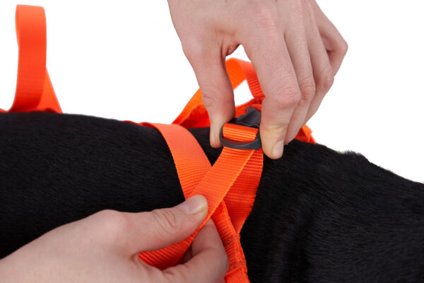 Non-Stop Dog Rescue Sling Pro - Image 6