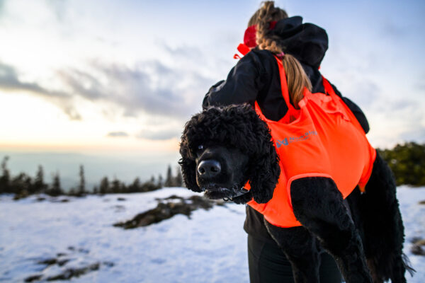 Non-Stop Dog Rescue Sling Pro - Image 7
