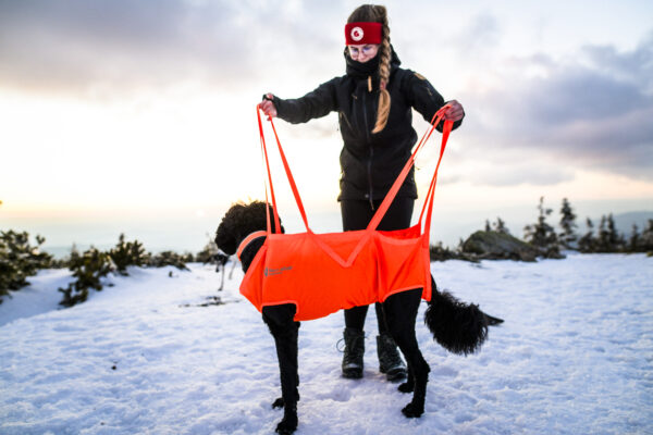 Non-Stop Dog Rescue Sling Pro - Image 8