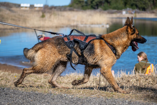 Non-Stop Rock Harness Long - Image 10