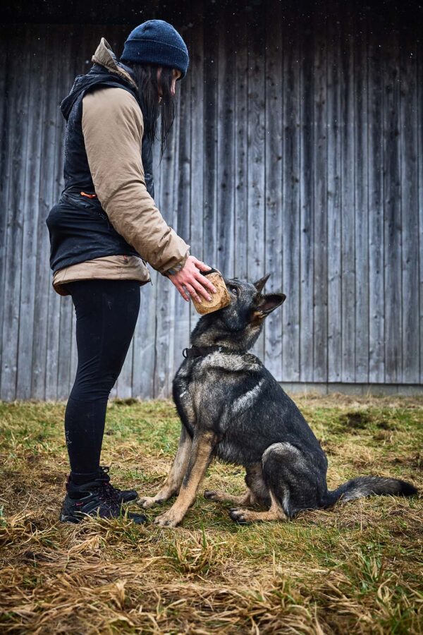 Non-Stop Solid Adjustable Collar Working Dog - Image 3