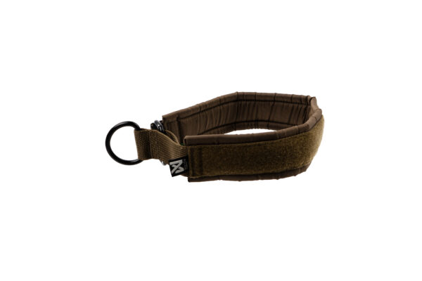Non-Stop Solid Collar Working Dog - Image 3