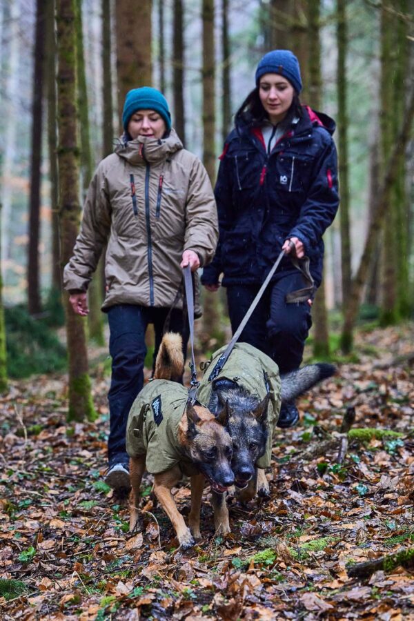 Non-Stop Solid Leash Working Dog - Image 2