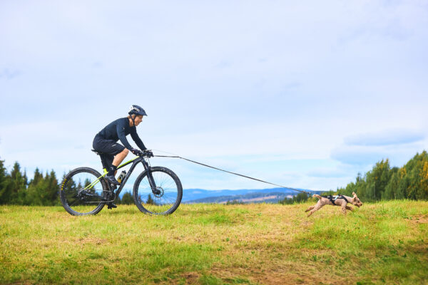 Non-Stop Touring Bungee Leash - Image 6
