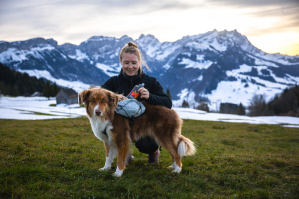 Non-Stop Trail Light Dog Backpack - Image 10