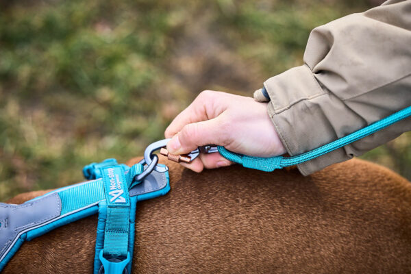 Non-Stop Trekking Rope Leash - Image 3