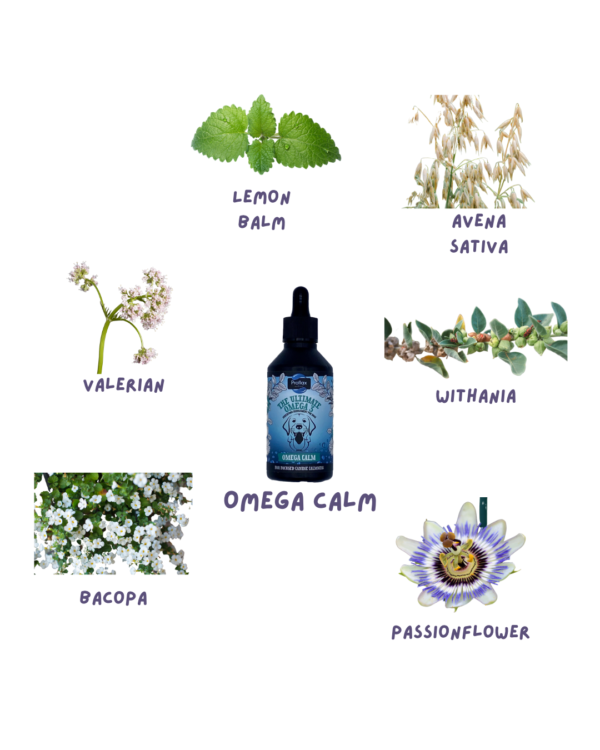 Proflax Chill-Out Bundle - Image 4