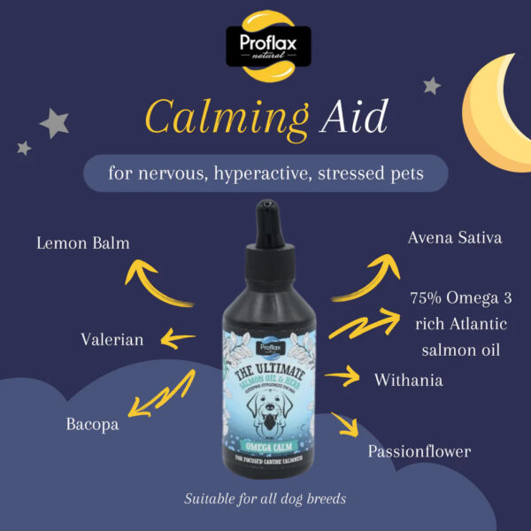 Proflax Chill-Out Bundle - Image 3
