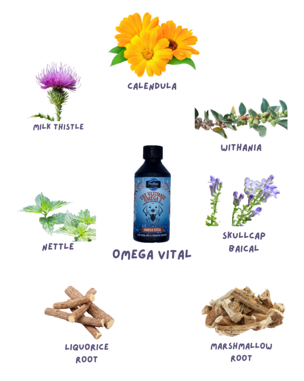 Proflax Omega Vital - Image 2