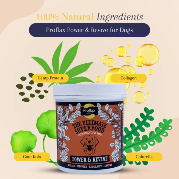 Proflax Power & Revive - Image 2