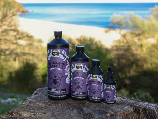 Proflax Kidney Care