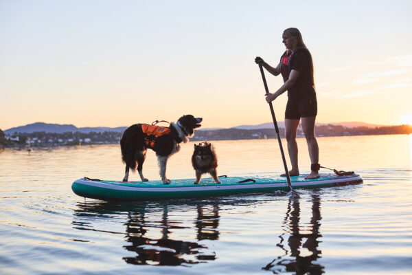 Non-Stop Protector Life Jacket - Image 8