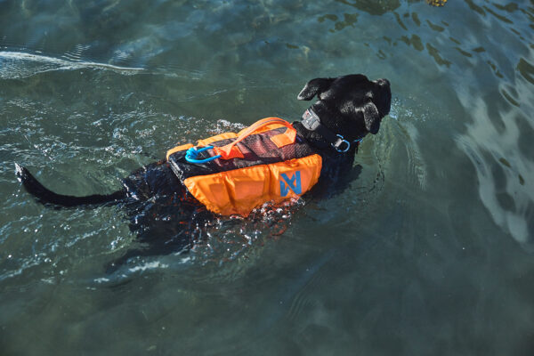 Non-Stop Protector Life Jacket - Image 6