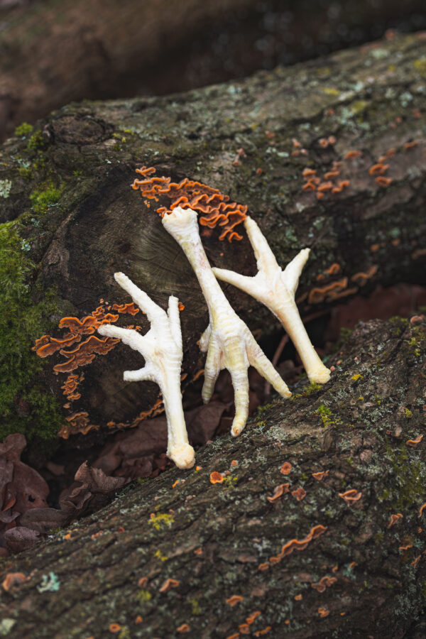 Puffed Chicken Feet