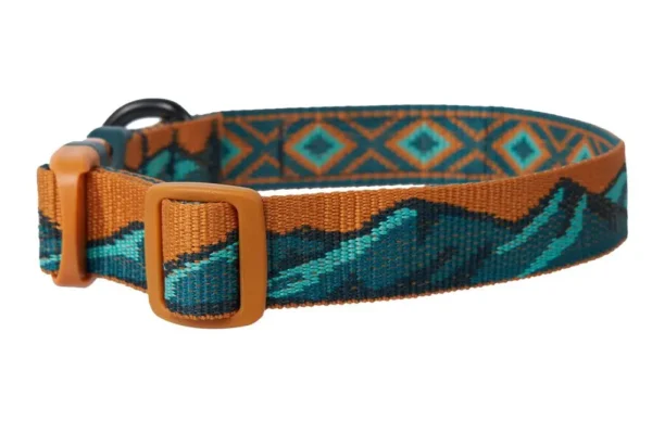 Non-Stop Trail Quest Collar Rachel Pohl Edition Teal - Image 3