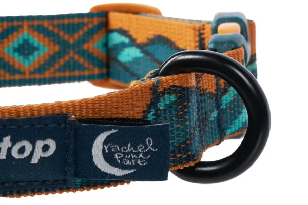 Non-Stop Trail Quest Collar Rachel Pohl Edition Teal - Image 4