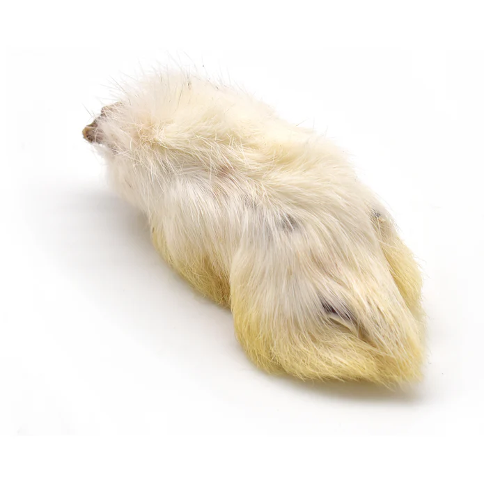 Hairy Rabbit Feet