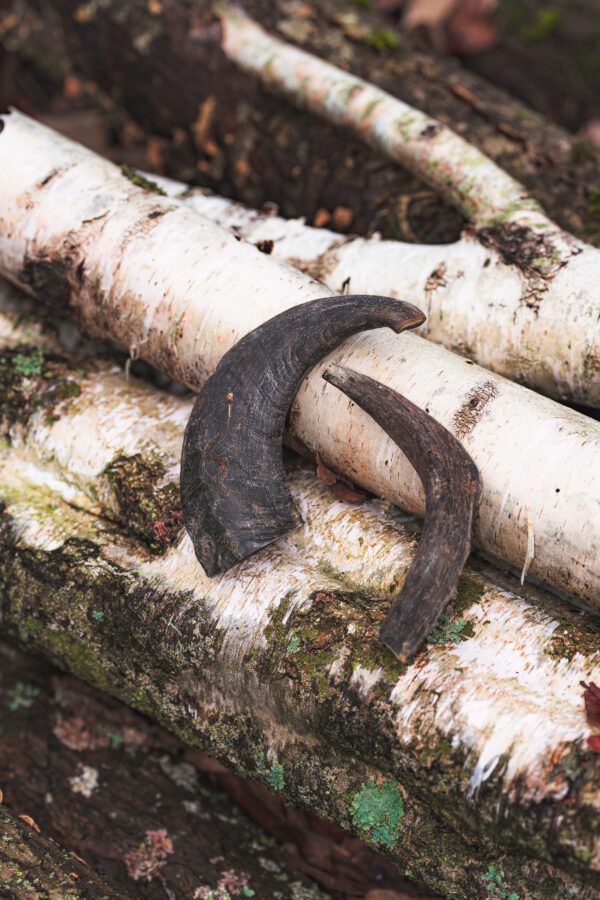 Ram Horn