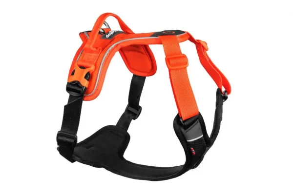 Non-Stop Ramble Harness Orange