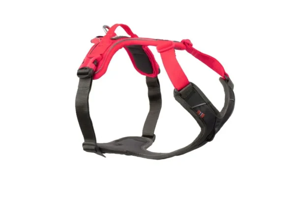Non-Stop Ramble Harness Pink