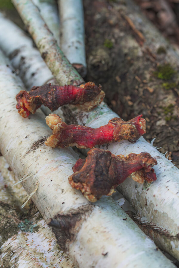 Roast Beef Pieces - Image 2