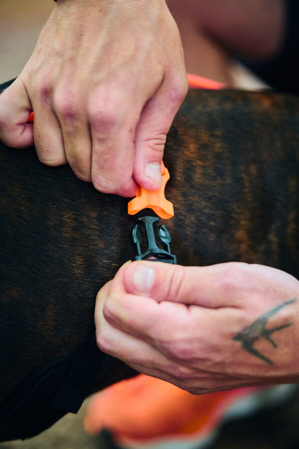 Non-Stop Rush Harness - Image 9