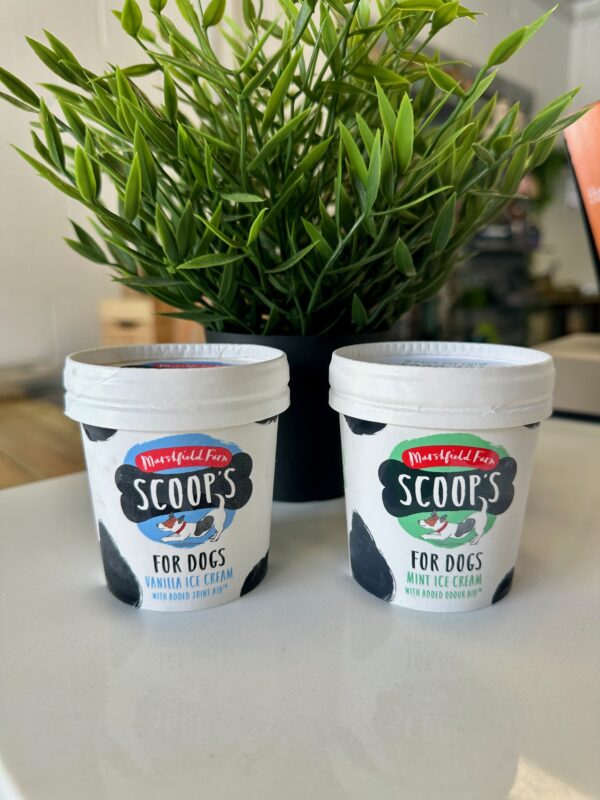 Scoops Ice Cream