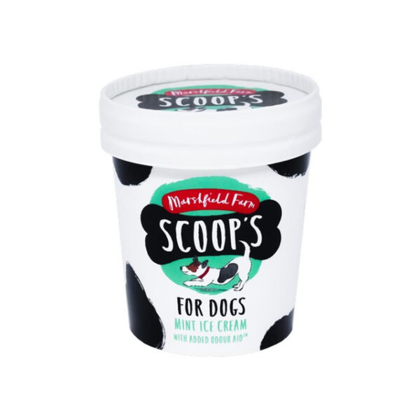 Scoops Ice Cream - Image 3