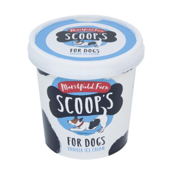 Scoops Ice Cream - Image 2