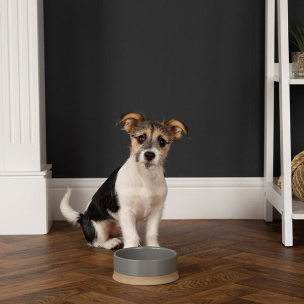 Scruffs Scandi Non Tip Bowl - Image 3