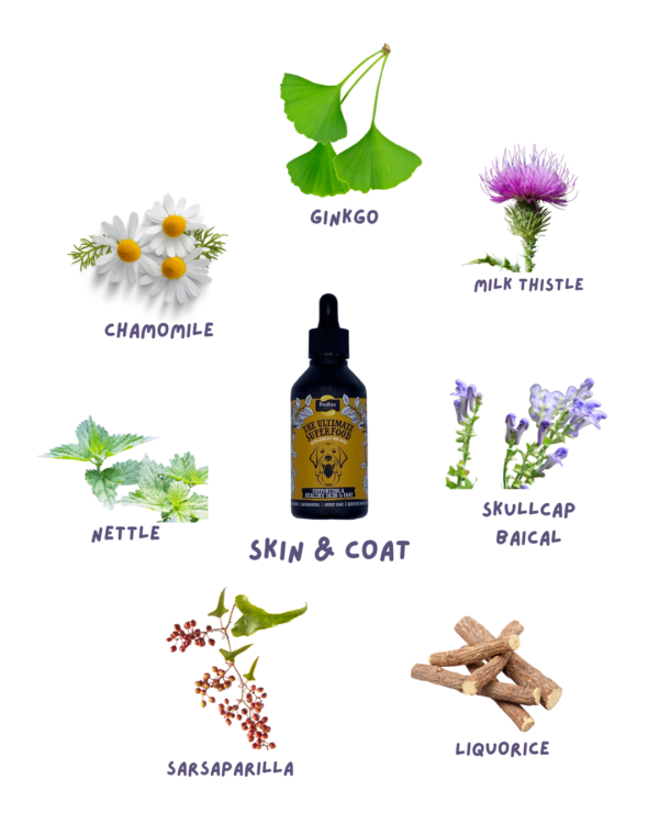 Proflax Allergy Bundle - Image 3