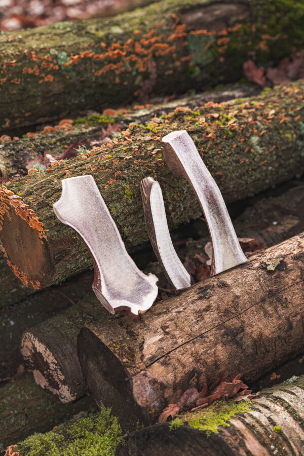 Split Antler - Image 2