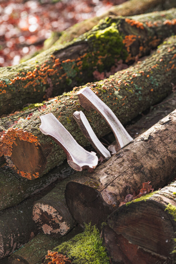 Split Antler