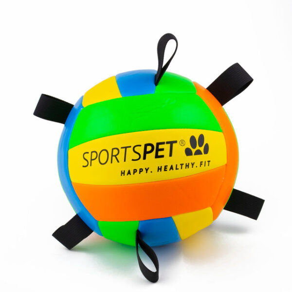 SportsPet Tab Volleyball