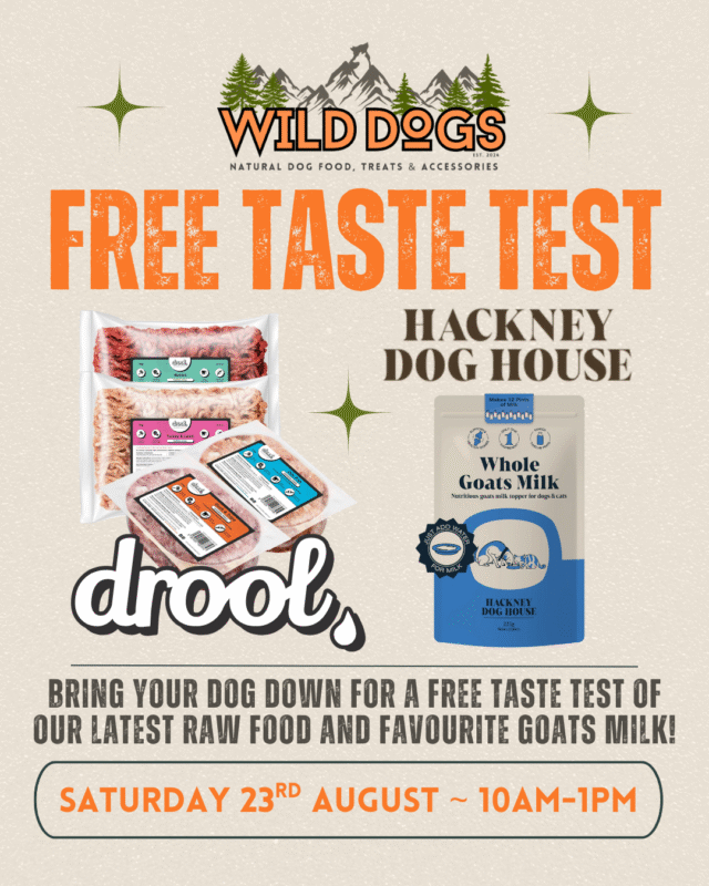 Drool Taste Testing Event