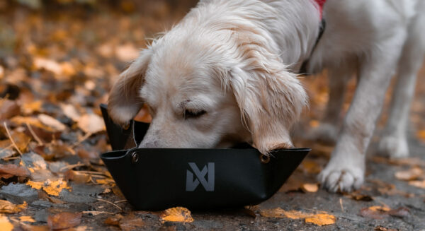 Non-Stop Trekking Bowl - Image 4