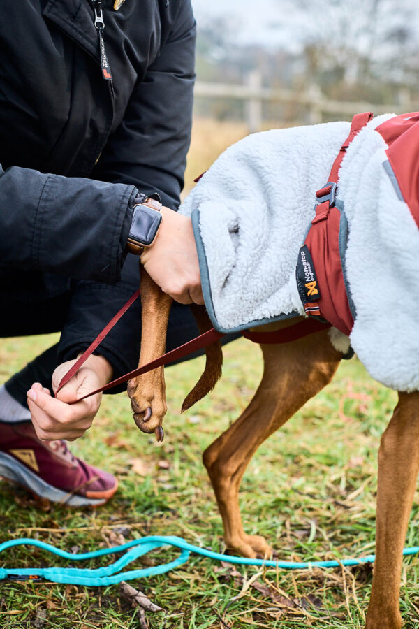 Non-Stop Trekking Fleece Jacket - Image 5
